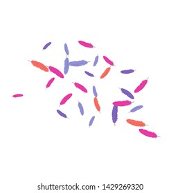 Colorful feathers. Prints of Colored feathers Design for Goods for Pets. Simple Pattern for Print, Logo or Poster. Vector Confetti Background.
