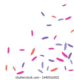 Colorful feathers. Prints of Colored feathers Design for Goods for Pets. Simple Pattern for Print, Logo or Poster. Vector Confetti Background.
