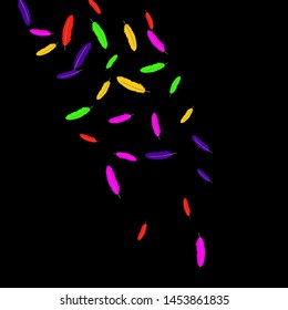 Colorful feathers. Prints of Colored feathers Design for Goods for Pets. Simple Pattern for Print, Logo or Poster. Vector Confetti Background.
