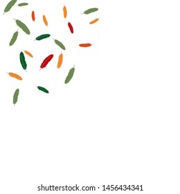 Colorful feathers. Prints of Colored feathers Design for Goods for Pets. Simple Pattern for Print, Logo or Poster. Vector Confetti Background.
