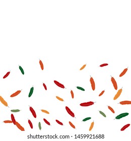 Colorful feathers. Prints of Colored feathers Design for Goods for Pets. Simple Pattern for Print, Logo or Poster. Vector Confetti Background.

