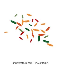 Colorful feathers. Prints of Colored feathers Design for Goods for Pets. Simple Pattern for Print, Logo or Poster. Vector Confetti Background.
