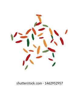 Colorful feathers. Prints of Colored feathers Design for Goods for Pets. Simple Pattern for Print, Logo or Poster. Vector Confetti Background.
