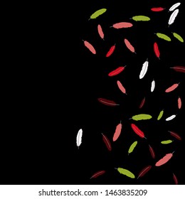 Colorful feathers. Prints of Colored feathers Design for Goods for Pets. Simple Pattern for Print, Logo or Poster. Vector Confetti Background.
