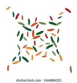 Colorful feathers. Prints of Colored feathers Design for Goods for Pets. Simple Pattern for Print, Logo or Poster. Vector Confetti Background.
