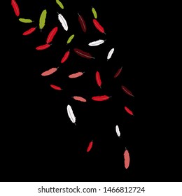 Colorful feathers. Prints of Colored feathers Design for Goods for Pets. Simple Pattern for Print, Logo or Poster. Vector Confetti Background.
