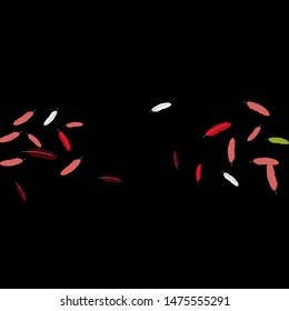 Colorful feathers. Prints of Colored feathers Design for Goods for Pets. Simple Pattern for Print, Logo or Poster. Vector Confetti Background.
