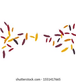 Colorful feathers. Prints of Colored feathers Design for Goods for Pets. Simple Pattern for Print, Logo or Poster. Vector Confetti Background.
