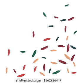 Colorful feathers. Prints of Colored feathers Design for Goods for Pets. Simple Pattern for Print, Logo or Poster. Vector Confetti Background.
