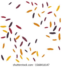 Colorful feathers. Prints of Colored feathers Design for Goods for Pets. Simple Pattern for Print, Logo or Poster. Vector Confetti Background.
