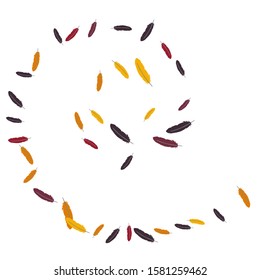 Colorful feathers. Prints of Colored feathers Design for Goods for Pets. Simple Pattern for Print, Logo or Poster. Vector Confetti Background.
