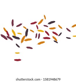 Colorful feathers. Prints of Colored feathers Design for Goods for Pets. Simple Pattern for Print, Logo or Poster. Vector Confetti Background.
