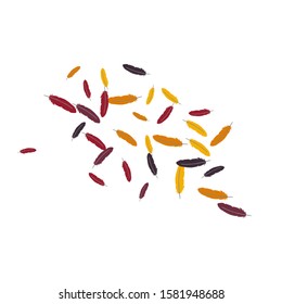 Colorful feathers. Prints of Colored feathers Design for Goods for Pets. Simple Pattern for Print, Logo or Poster. Vector Confetti Background.
