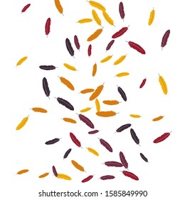 Colorful feathers. Prints of Colored feathers Design for Goods for Pets. Simple Pattern for Print, Logo or Poster. Vector Confetti Background.

