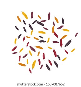 Colorful feathers. Prints of Colored feathers Design for Goods for Pets. Simple Pattern for Print, Logo or Poster. Vector Confetti Background.
