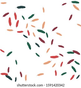 Colorful feathers. Prints of Colored feathers Design for Goods for Pets. Simple Pattern for Print, Logo or Poster. Vector Confetti Background.
