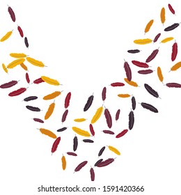 Colorful feathers. Prints of Colored feathers Design for Goods for Pets. Simple Pattern for Print, Logo or Poster. Vector Confetti Background.
