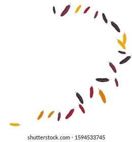 Colorful feathers. Prints of Colored feathers Design for Goods for Pets. Simple Pattern for Print, Logo or Poster. Vector Confetti Background.
