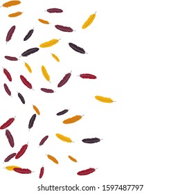 Colorful feathers. Prints of Colored feathers Design for Goods for Pets. Simple Pattern for Print, Logo or Poster. Vector Confetti Background.
