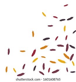 Colorful feathers. Prints of Colored feathers Design for Goods for Pets. Simple Pattern for Print, Logo or Poster. Vector Confetti Background.
