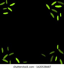Colorful feathers. Prints of Colored feathers Design for Goods for Pets. Simple Pattern for Print, Logo or Poster. Vector Confetti Background.