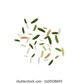 Colorful feathers. Prints of Colored feathers Design for Goods for Pets. Simple Pattern for Print, Logo or Poster. Vector Confetti Background.