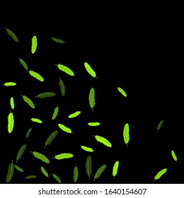 Colorful feathers. Prints of Colored feathers Design for Goods for Pets. Simple Pattern for Print, Logo or Poster. Vector Confetti Background.

