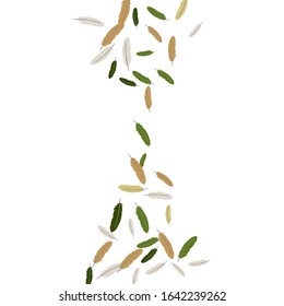 Colorful feathers. Prints of Colored feathers Design for Goods for Pets. Simple Pattern for Print, Logo or Poster. Vector Confetti Background.
