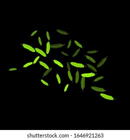 Colorful feathers. Prints of Colored feathers Design for Goods for Pets. Simple Pattern for Print, Logo or Poster. Vector Confetti Background.
