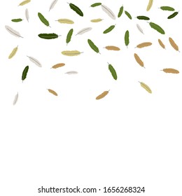 Colorful feathers. Prints of Colored feathers Design for Goods for Pets. Simple Pattern for Print, Logo or Poster. Vector Confetti Background.
