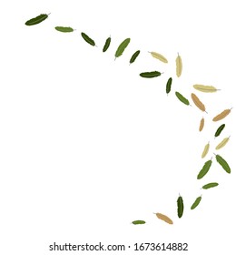 Colorful feathers. Prints of Colored feathers Design for Goods for Pets. Simple Pattern for Print, Logo or Poster. Vector Confetti Background.
