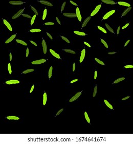 Colorful feathers. Prints of Colored feathers Design for Goods for Pets. Simple Pattern for Print, Logo or Poster. Vector Confetti Background.
