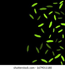 Colorful feathers. Prints of Colored feathers Design for Goods for Pets. Simple Pattern for Print, Logo or Poster. Vector Confetti Background.
