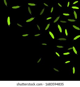 Colorful feathers. Prints of Colored feathers Design for Goods for Pets. Simple Pattern for Print, Logo or Poster. Vector Confetti Background.

