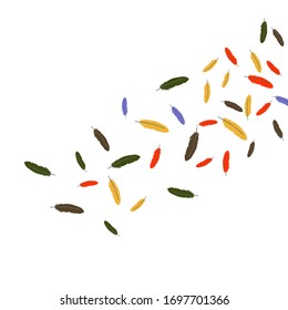 Colorful feathers. Prints of Colored feathers Design for Goods for Pets. Simple Pattern for Print, Logo or Poster. Vector Confetti Background.
