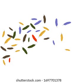 Colorful feathers. Prints of Colored feathers Design for Goods for Pets. Simple Pattern for Print, Logo or Poster. Vector Confetti Background.
