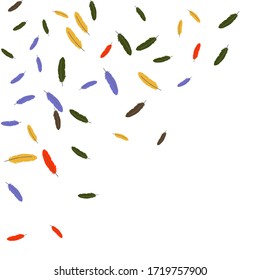 Colorful feathers. Prints of Colored feathers Design for Goods for Pets. Simple Pattern for Print, Logo or Poster. Vector Confetti Background.

