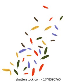 Colorful feathers. Prints of Colored feathers Design for Goods for Pets. Simple Pattern for Print, Logo or Poster. Vector Confetti Background.
