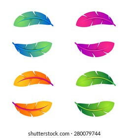 Colorful feathers set, vector design vector template.