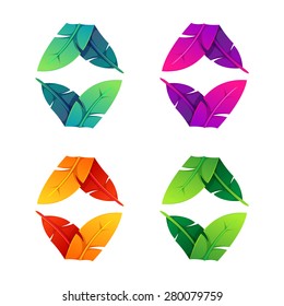 Colorful feathers set, vector design vector template.