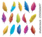 Colorful feathers set. Vibrant color bird feathers isolated vector illustration