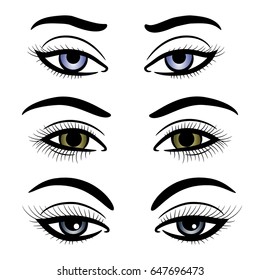 Colorful female eyes and brows isolated on white background. Vector illustration