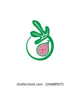 vectores coloridos del círculo de la hoja de fruta de la higuera 