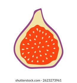 Colorful fig illustration, cutaway illustration of fig isolated on white background.