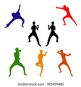 Colorful fighter