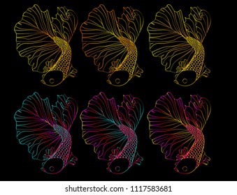 colorful fighting fish.