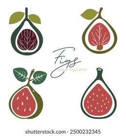 Colorful figs icon set. Fresh cartoon fig isolated vector