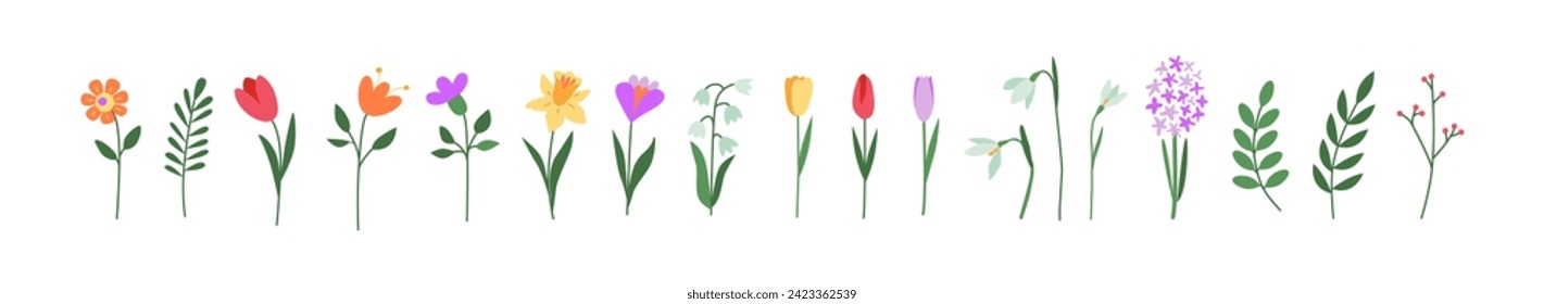 Flores primaverales coloridas. Tulipán, croco, nevada, jacinto, narciso. Dibujo botánico. Doodles dibujados a mano. Ideal para tarjetas de felicitación, fondos, tatuajes. Día de la mujer, día de la madre, boda.