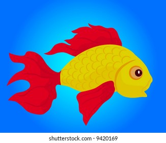 colorful fish