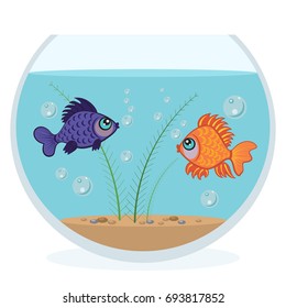 Colorful fish in the aquarium. 
